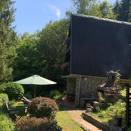 Holiday Home Dragonfly River House On Korana Near Plitvice And Mreznica Barilovic Екстериор снимка