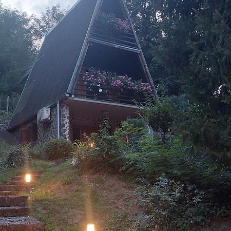 Holiday Home Dragonfly River House On Korana Near Plitvice And Mreznica Barilovic Екстериор снимка