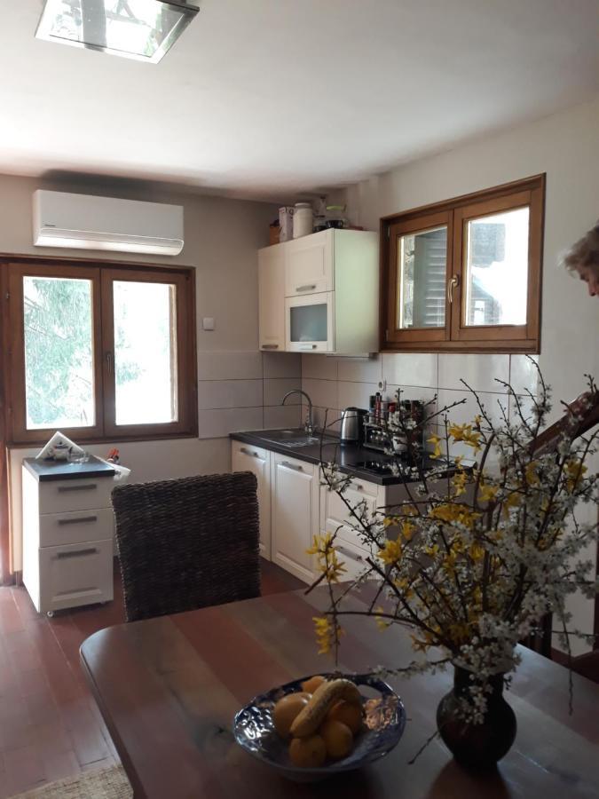 Holiday Home Dragonfly River House On Korana Near Plitvice And Mreznica Barilovic Екстериор снимка