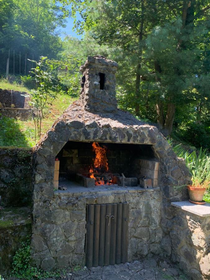 Holiday Home Dragonfly River House On Korana Near Plitvice And Mreznica Barilovic Екстериор снимка